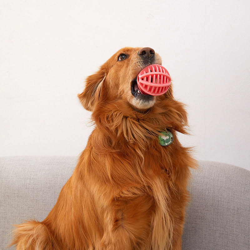 Durable Rubber Treat Dispensin - Rubber Treat Dispensing Dog Toy review and price