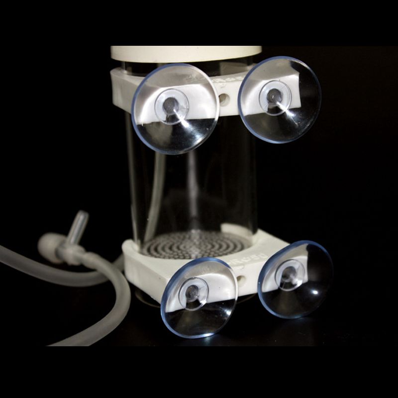 Aquarium Cichlids Tumbler Fish - Aquarium review and price