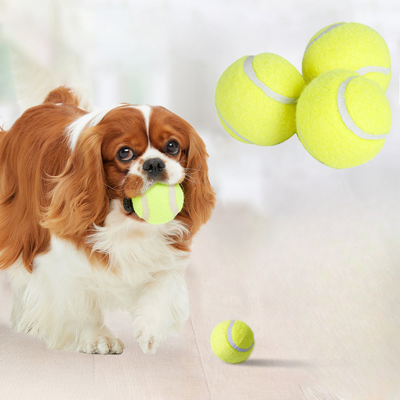 Interactive Striped Rubber Ten - Interactive Squeaky Plush Dog Toy review and price