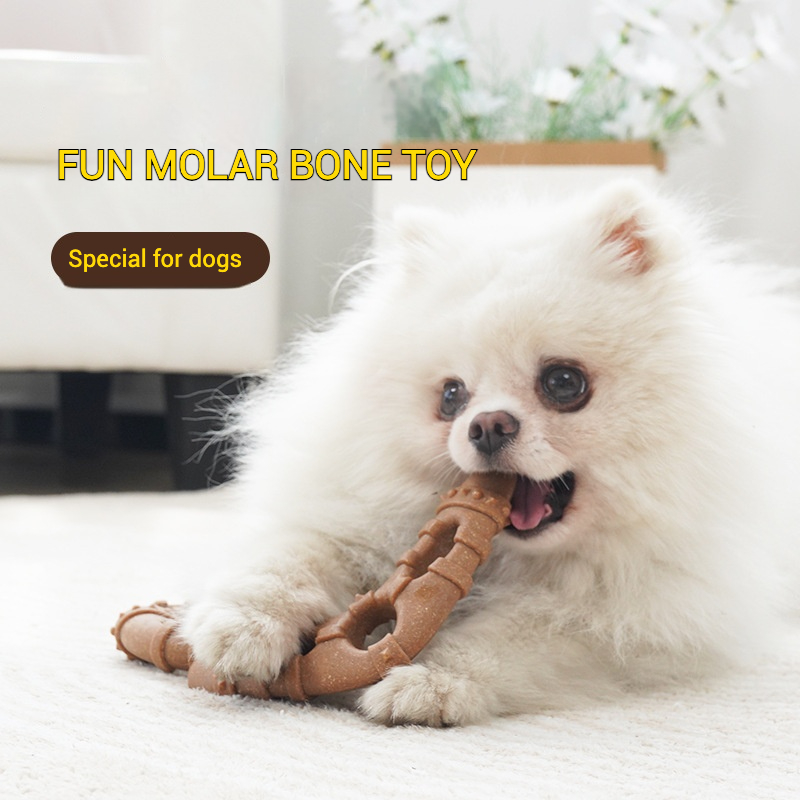 Imitation Bone Molar Dog Toy D - Teeth Cleaning Dog Chew Bone review and price