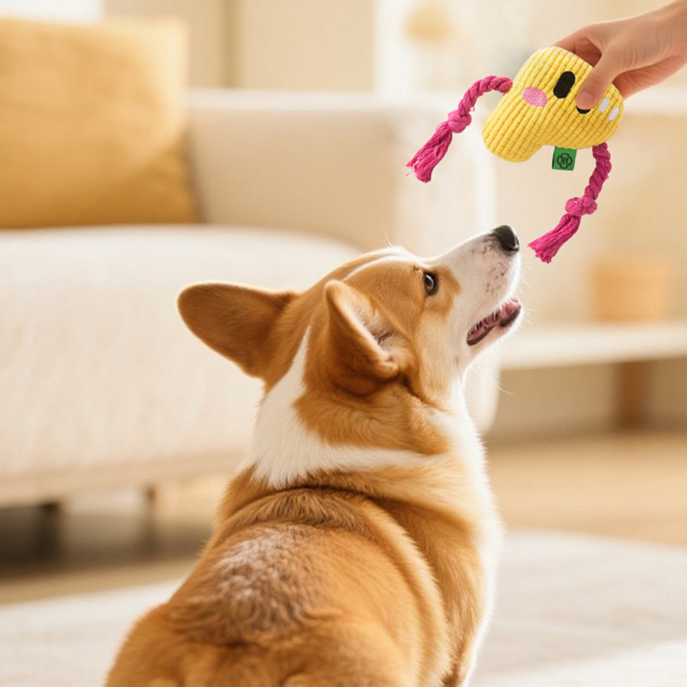 Dog Chew Toy - Durable Rope Kn - Dog Rope Toy Aggressive Chewers review and price