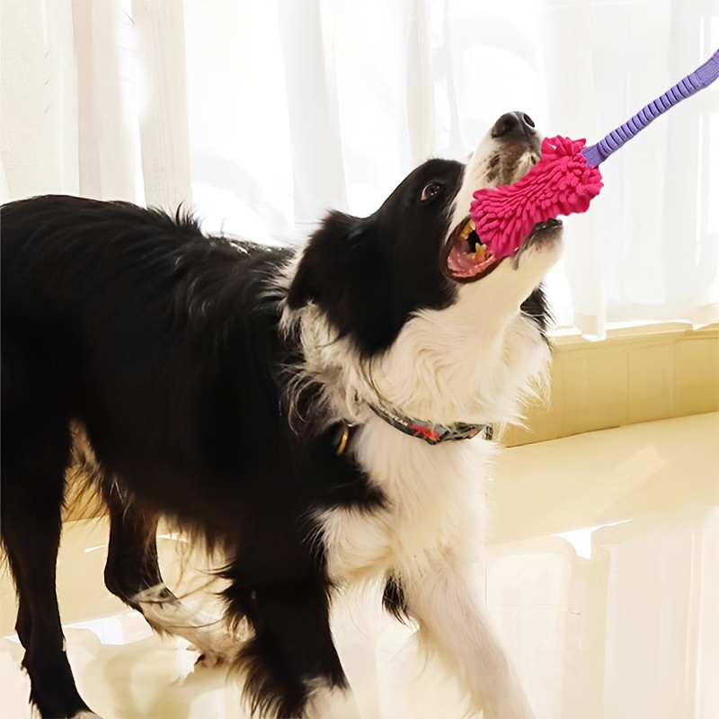 Durable Dog Toys for Aggressiv - Suction Cup Dog Tug Toy review and price