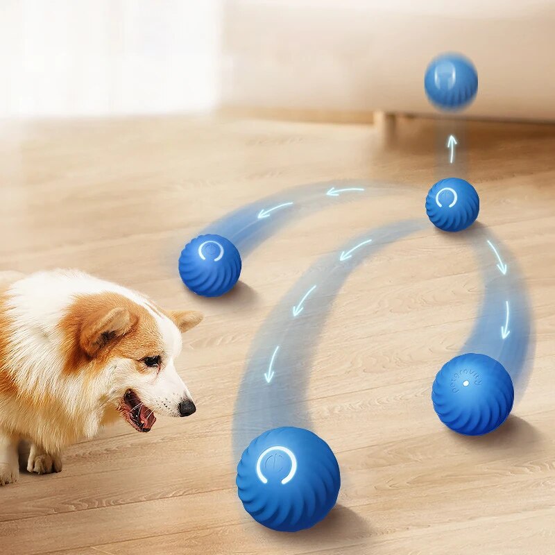 Dog Toys Intelligent Gravity J - Suction Cup Dog Tug Toy review and price