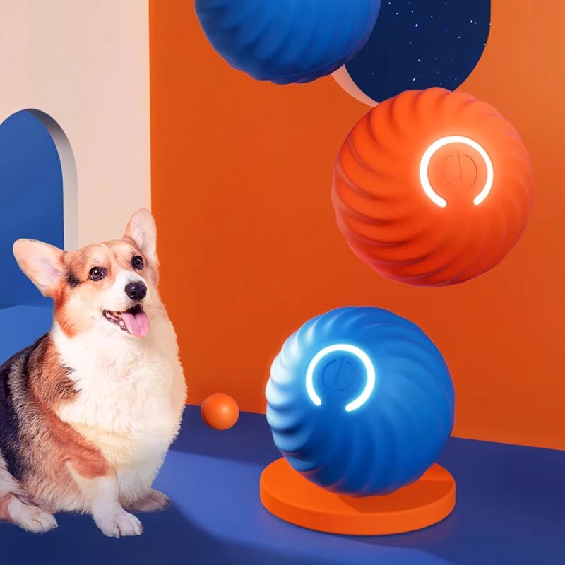 Dog Toys Intelligent Gravity J - Suction Cup Dog Tug Toy review and price