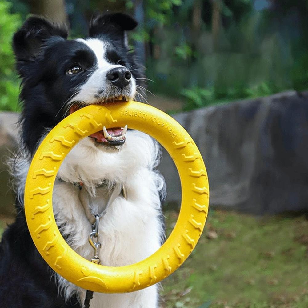 Dog Ring Toys Indestructible C - Suction Cup Dog Tug Toy review and price