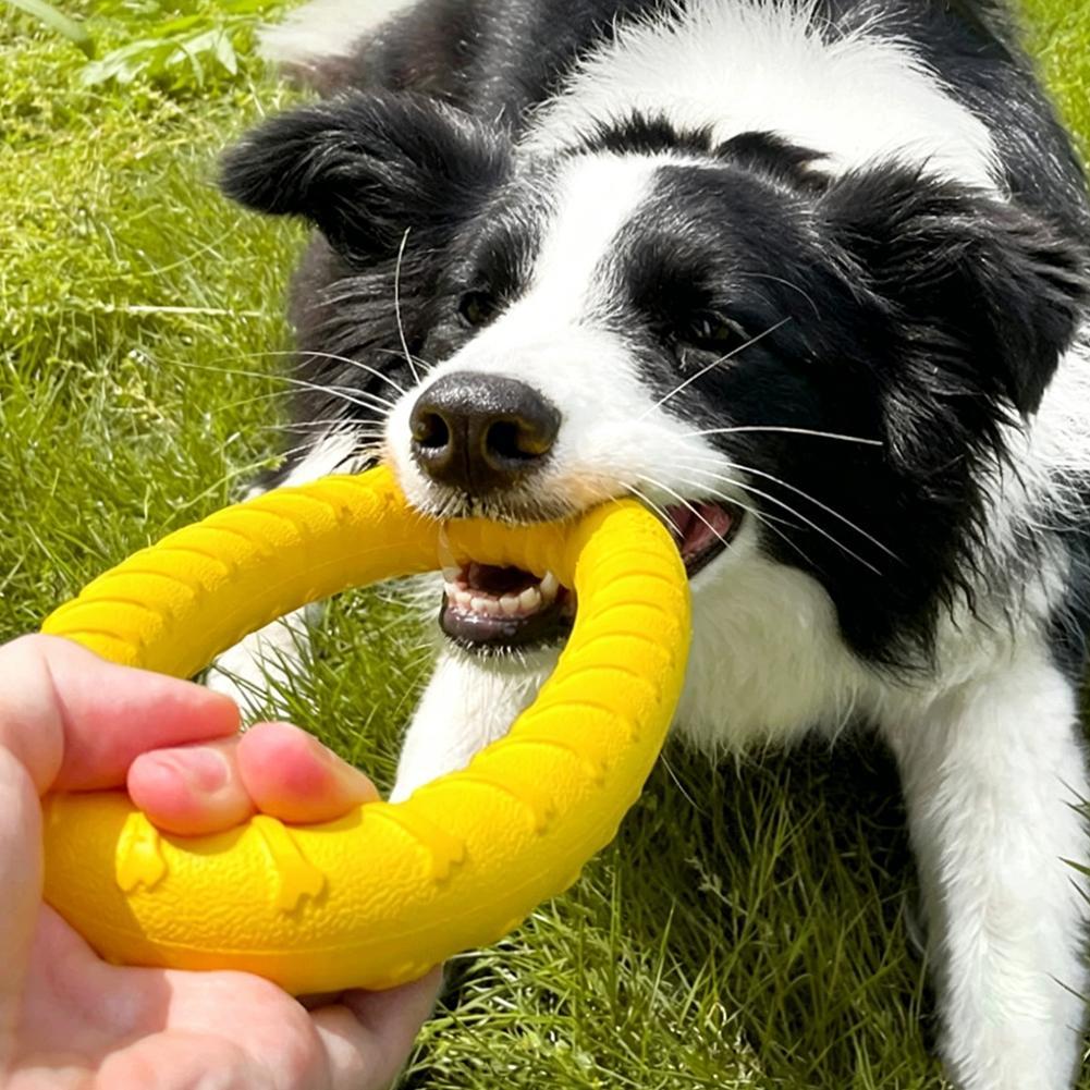 Dog Ring Toys Indestructible C - Suction Cup Dog Tug Toy review and price
