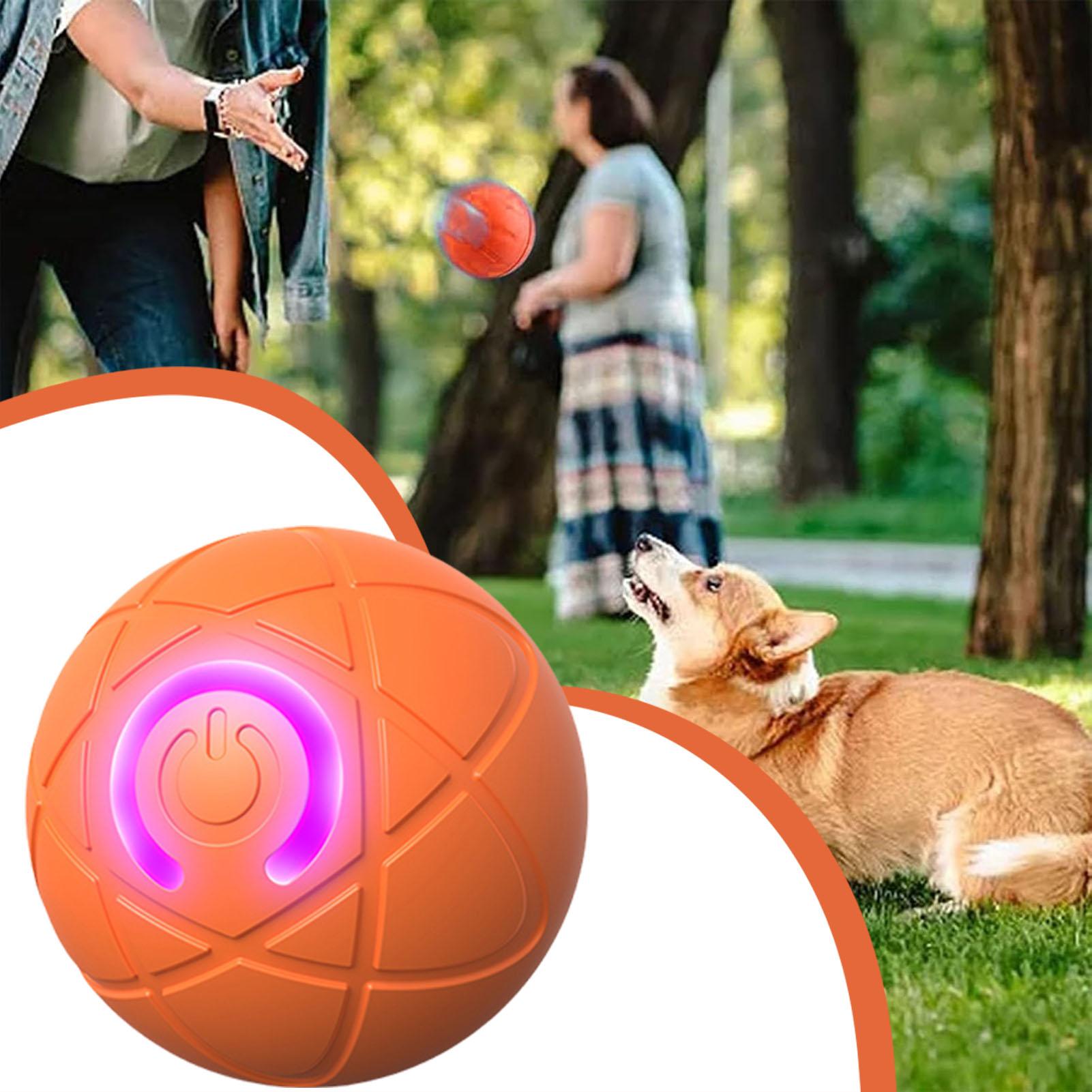 Dog Toy Ball Interactive Rolli - Automatic Moving Dog Ball review and price
