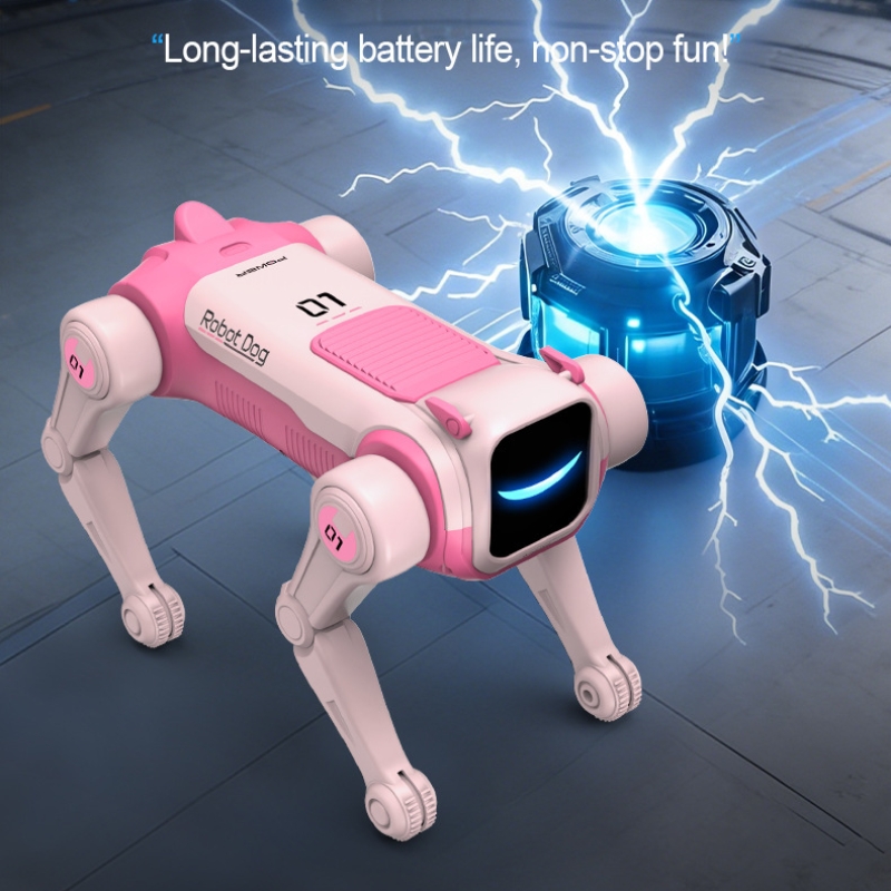 Cool Stuff Toy Car Funny Gift- - Dog Toys review and price