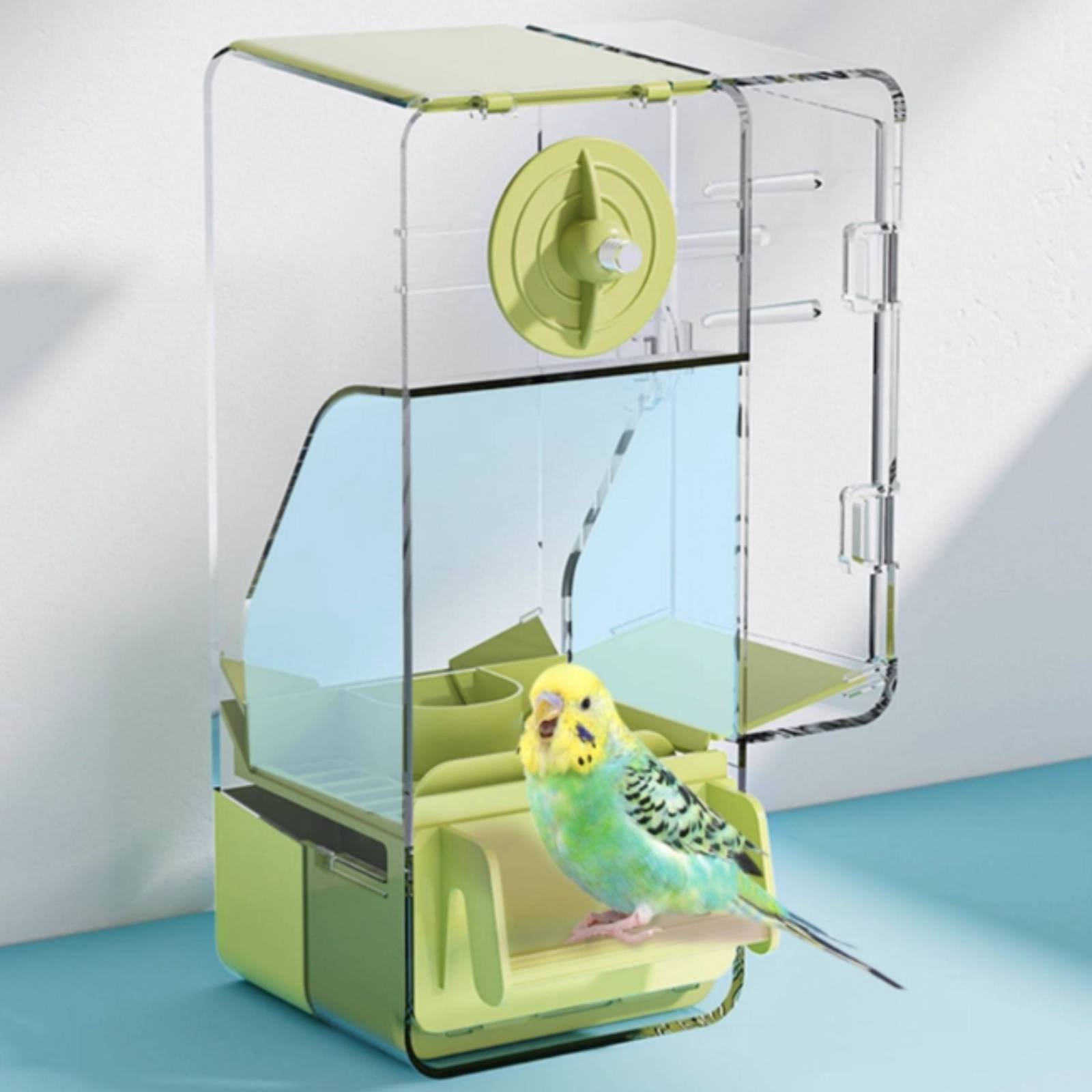Seed Separating Feeder Splash- - Pet Feeders review and price