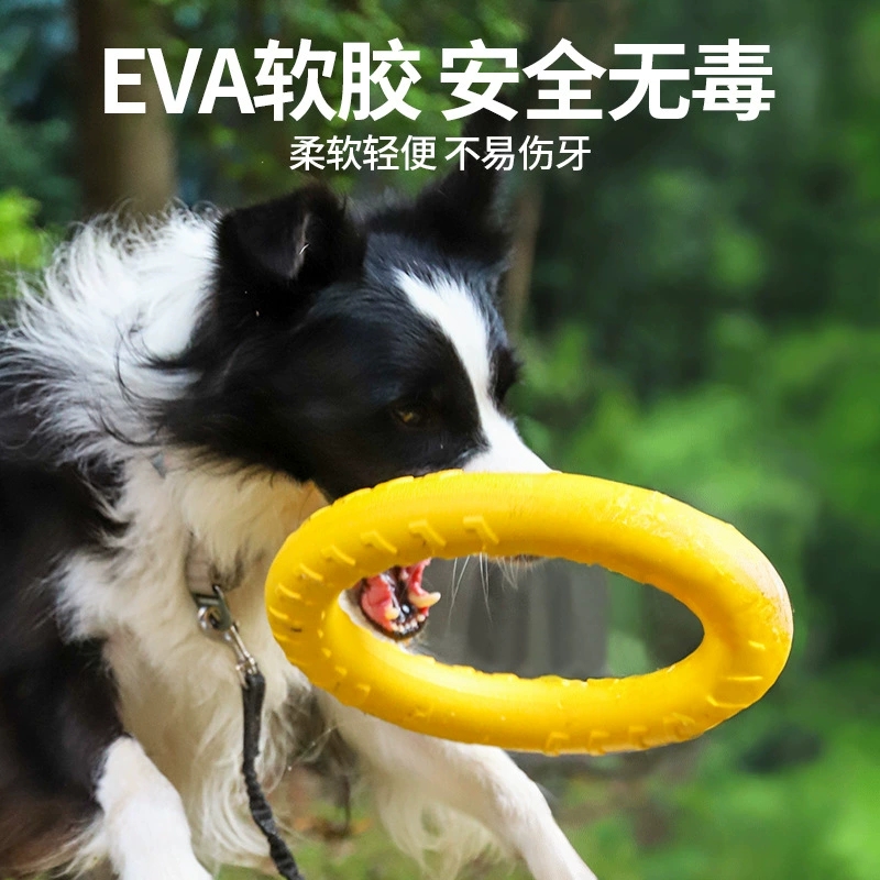 Dog Flying Disc Chewing Toy Tr - Flying Disc Dog Training Toy review and price