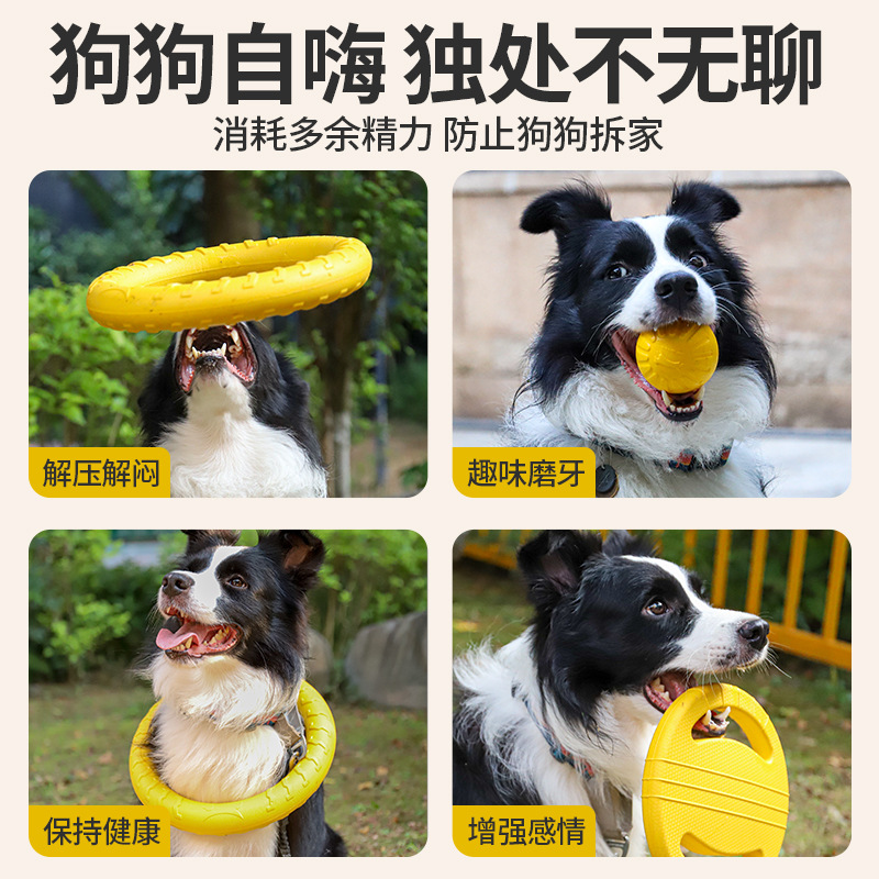 Dog Flying Disc Chewing Toy Tr - Flying Disc Dog Training Toy review and price