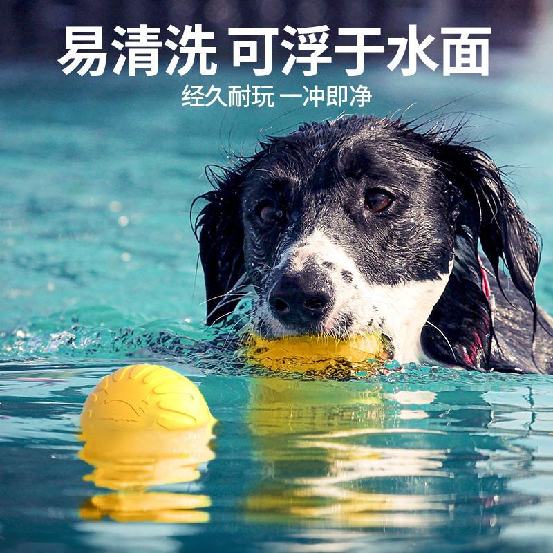 Dog Flying Disc Chewing Toy Tr - Flying Disc Dog Training Toy review and price