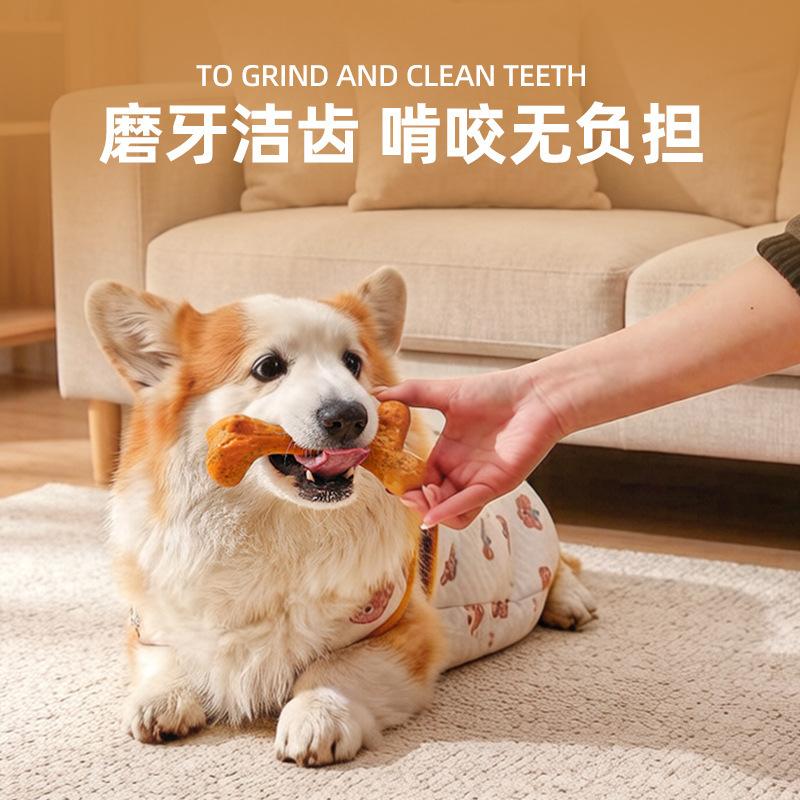 Dog ToyTPRDurable chew-resista - Teeth Cleaning Dog Chew Bone review and price