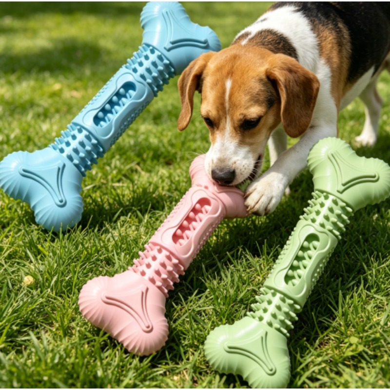 New Durable Pet Chew Toy Set D - Teeth Cleaning Dog Chew Bone review and price