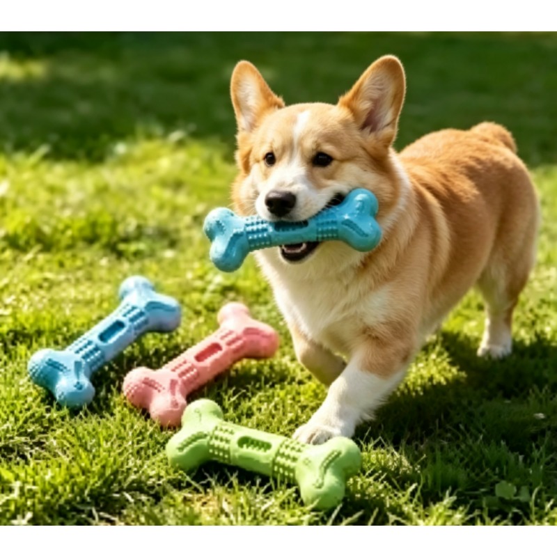 New Durable Pet Chew Toy Set D - Teeth Cleaning Dog Chew Bone review and price