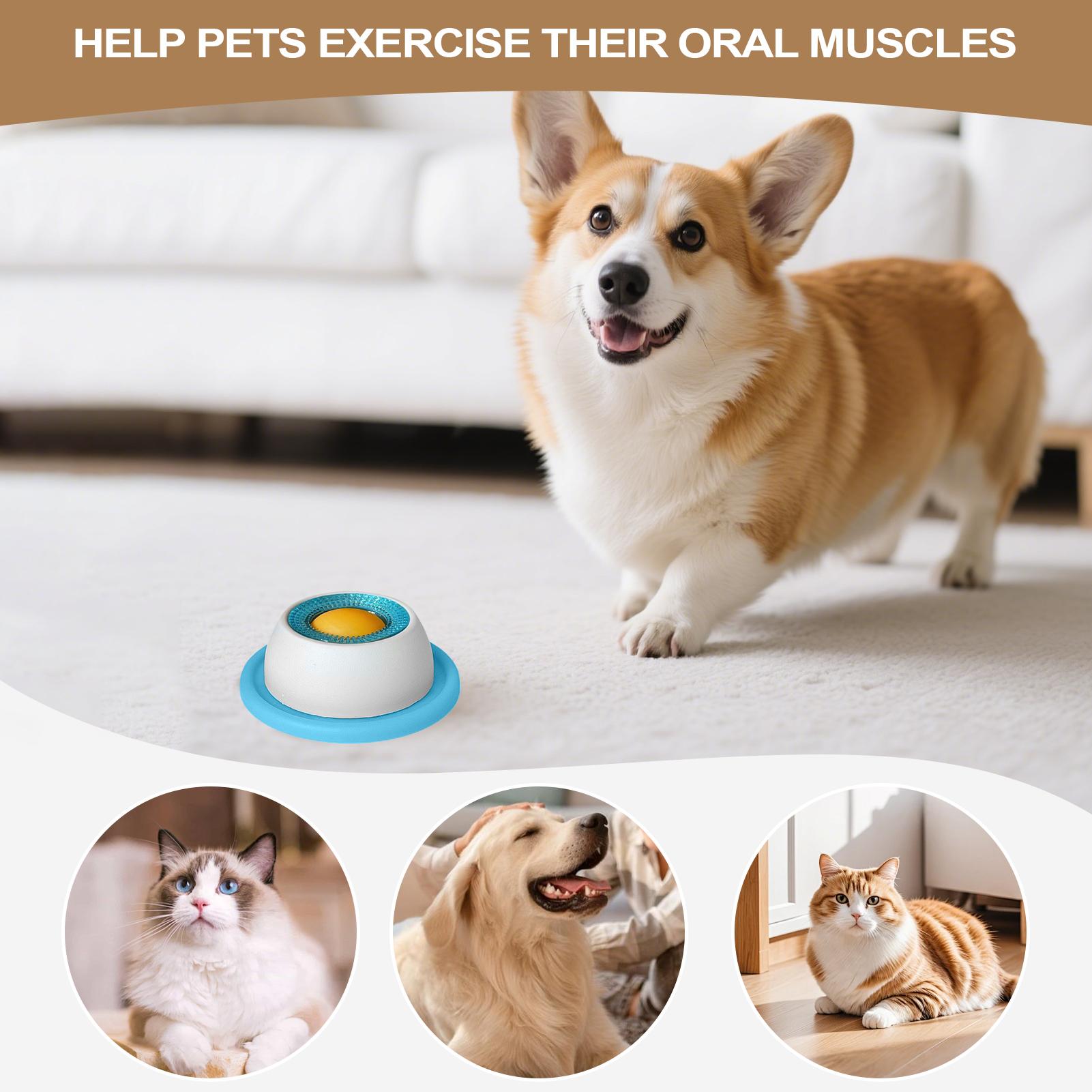 Dog Treat Toy Pet Feeding Acce - Dog Puzzle Feeder Toy review and price