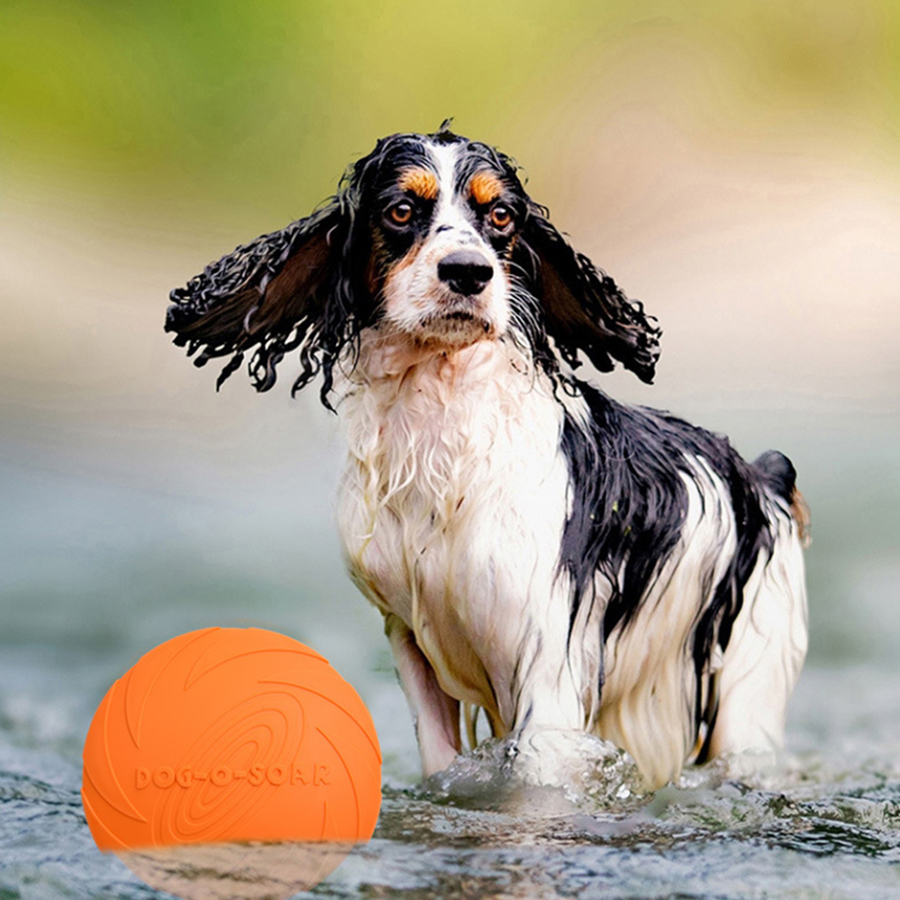 Large Dog Golden Fur Pet Flyin - Flying Disc Dog Training Toy review and price